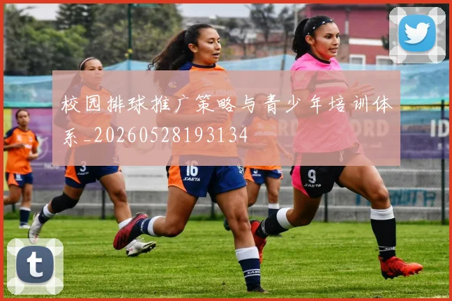 校园排球推广策略与青少年培训体系_20260528193134