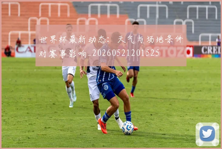 世界杯最新动态:天气与场地条件对赛事影响_20260521201525